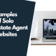 examples of solo real estate agent websites